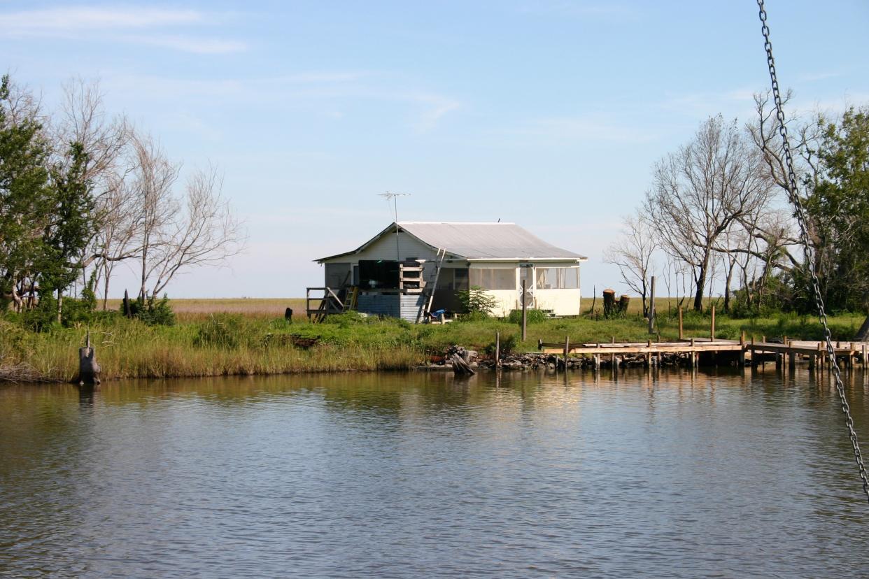 Cocodrie in Louisiana