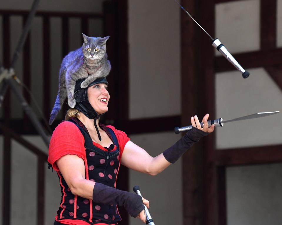 With her cat Sputnik reclining on her head, Melissa Arleth juggles knives for the audience in her “Cirque du Sewer” show at Scarborough Renaissance Festival. Arleth’s show features balancing tricks featuring her cats, rat, and herself walking a rope.