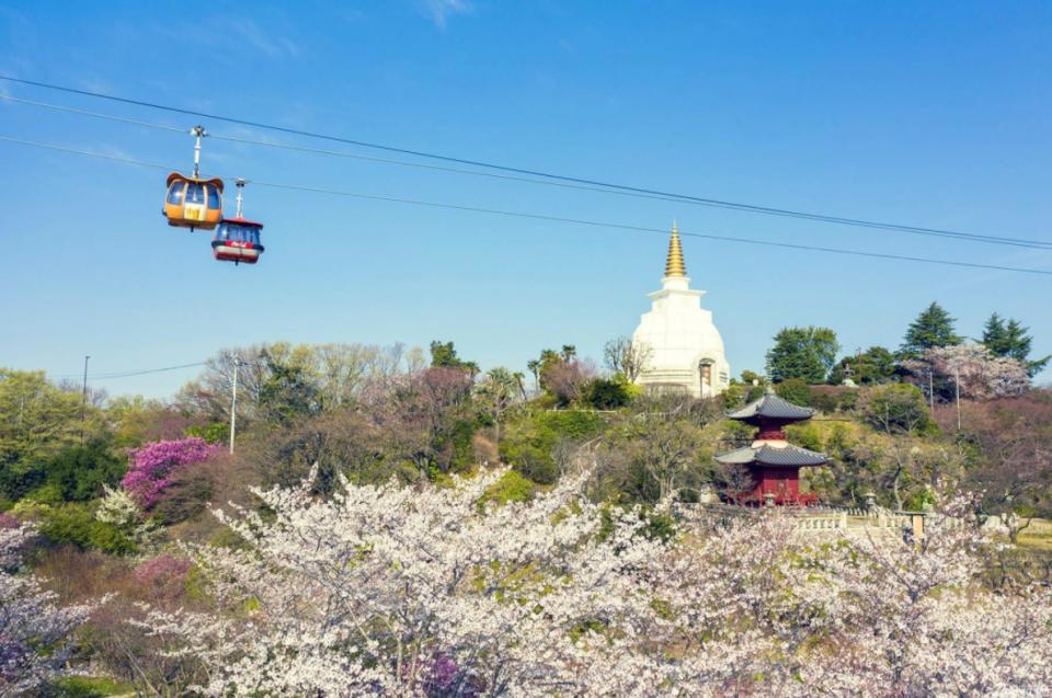 絕美花室星巴克！2020東京打卡新景點 讀賣樂園HANA・BIYORI數位娛樂型植物園