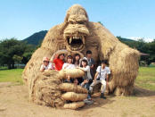 <p><span>Natürlich wurden die gigantischen Figuren nicht zum Spaß aufgebaut, sondern im Zuge des Wara Art Festivals. </span> </p>