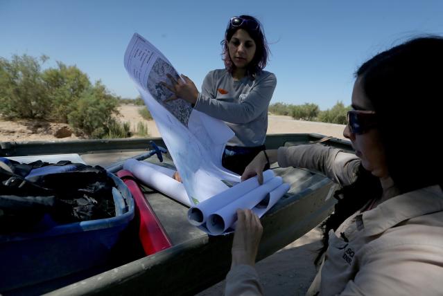 Angela Melendez and Gaby González Olimón unroll maps of habitat restoration areas in the Colorado River Delta.