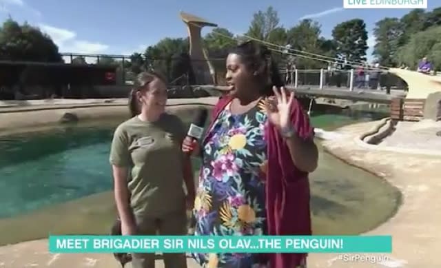 TV presenter bitten by zoo penguin during interview