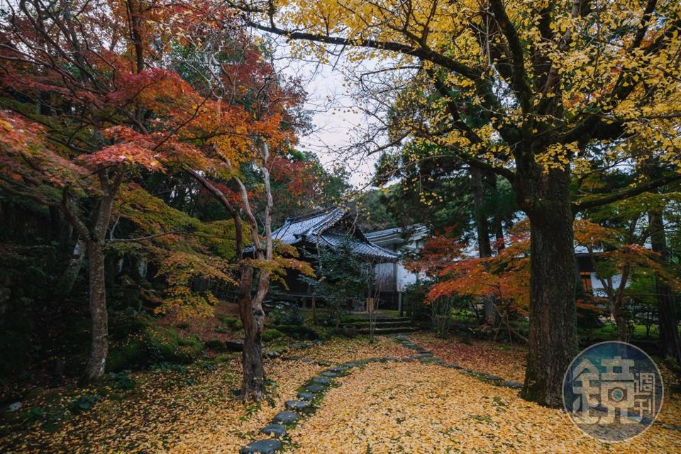 每年11月底到12月初是到竹林寺賞楓的最佳時機，其他季節來也有古樸風景可看。