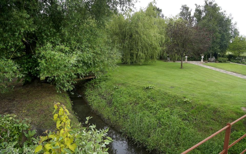 Wendy replaced the dead conifers in her garden with weeping willows