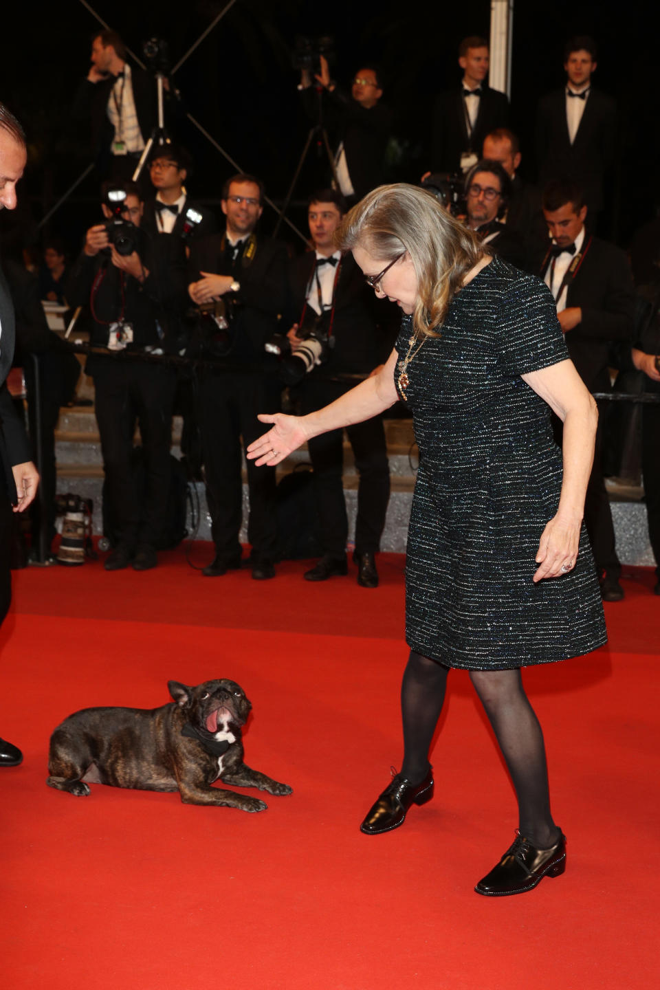 Carrie Fisher and her dog Gary attends 'The Handmaiden (Mademoiselle)' premiere during the 69th annual Cannes Film Festival in 2016.