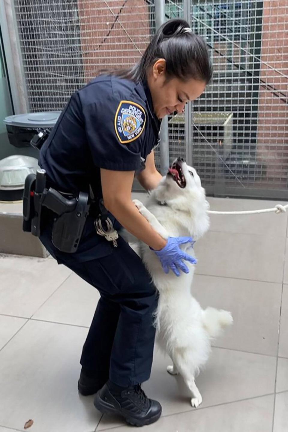 NYPD Officer Adopts Dog She Rescued After He Was Locked in Hot Car