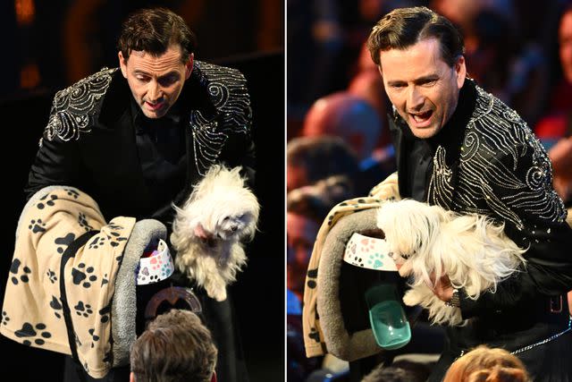 <p>Joe Maher/BAFTA/Getty Images for BAFTA</p> David Tennant and "Bark Ruffalo"