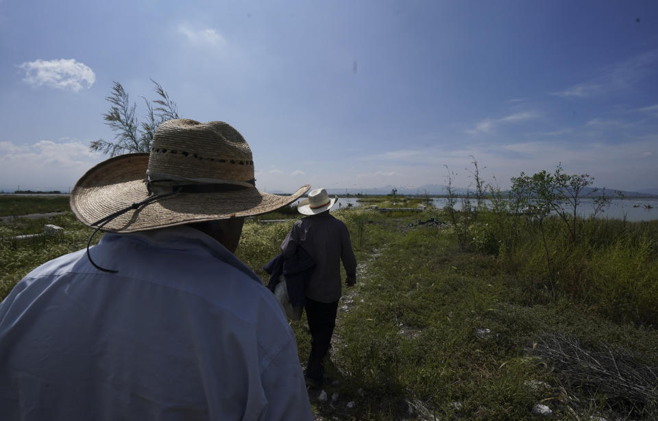 Juan Hernandez, front, and a friend arrive at Lake Texcoco lake to harvest ahuautle, the eggs of the Axayacatl, a type of water bug, near Mexico City, Tuesday, Sept. 20, 2022. "We look for them along the edges of the lake, where the flies are more active," Hernandez said. He started as a young man, after a period of joblessness, joining about four dozen other local residents who used to work the lakes during the ahuautle season, the rainy period from June through September. (AP Photo/Fernando Llano)
