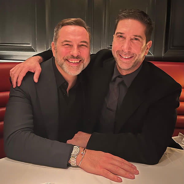 david-walliams-david-schwimmer