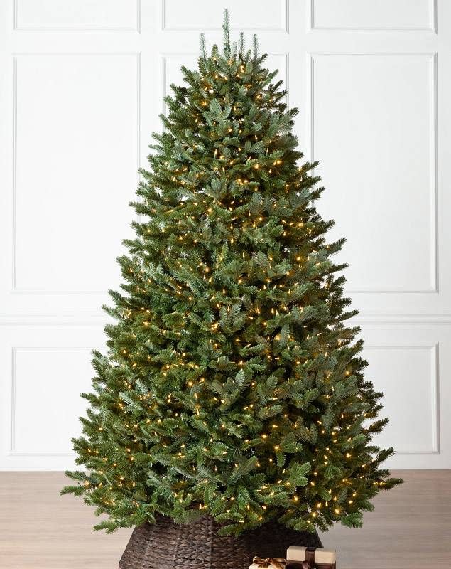 Best Fraser Fir Tree