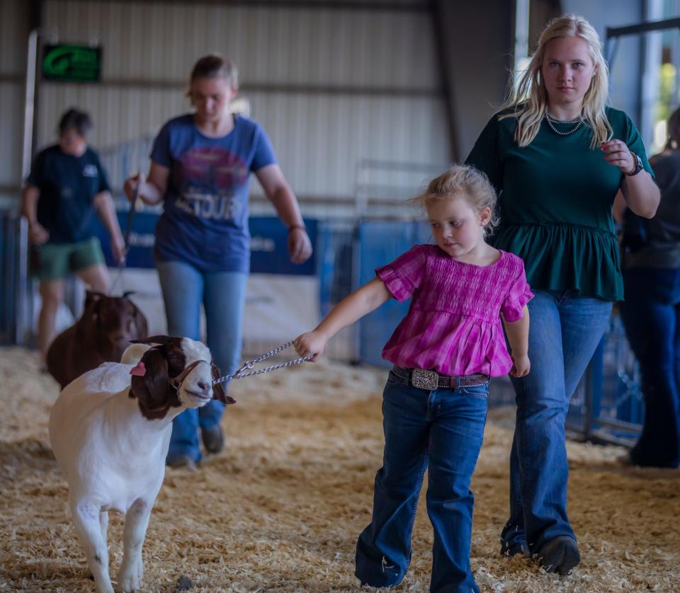 A guide to everything about the 2024 Tennessee State Fair, Opryland USA