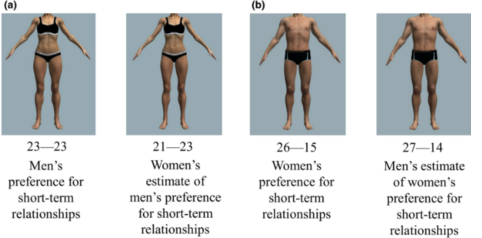 Die Vorstellungen von Männern und Frauen hinsichtlich Attrativität weichen zwar nur leicht ab, aber immerhin. (Bild: Xue Lei & David Perrett)