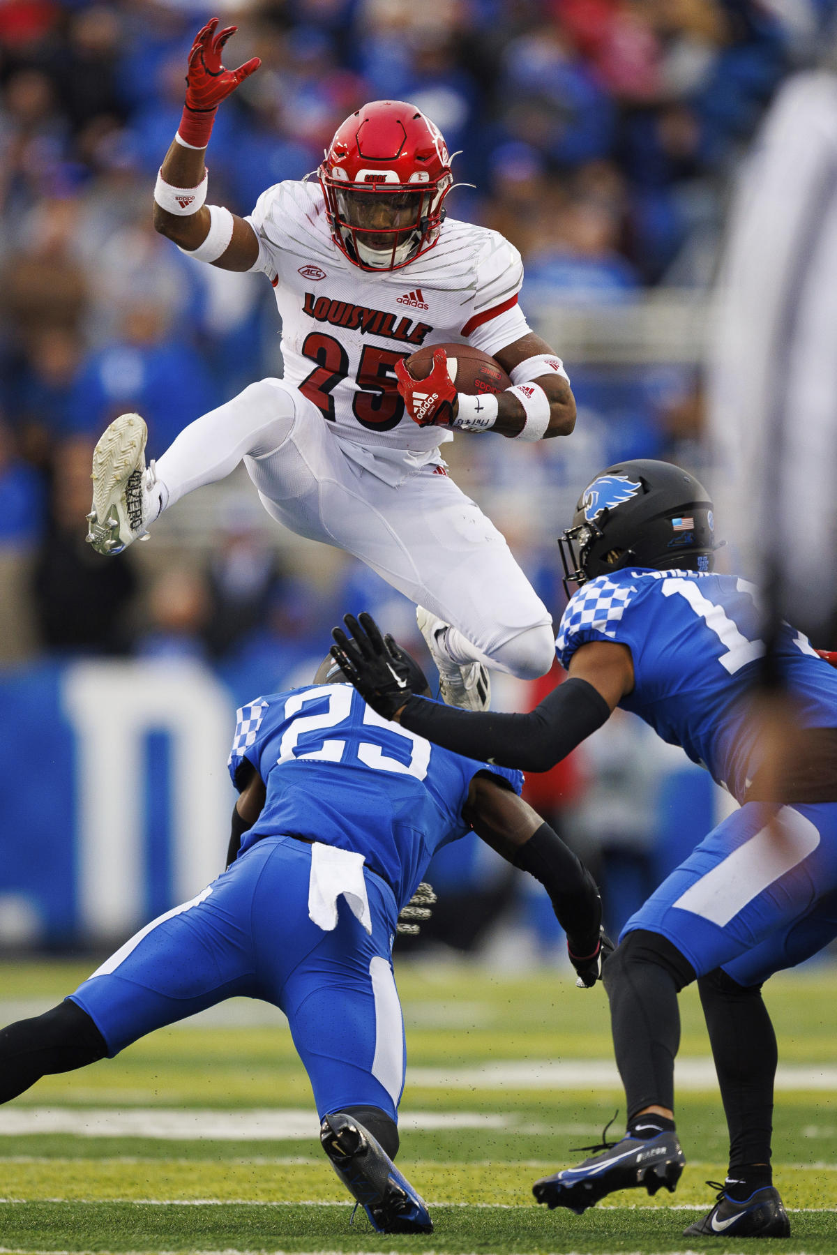 Lids Louisville Cardinals adidas Basics Secondary Pre-Game