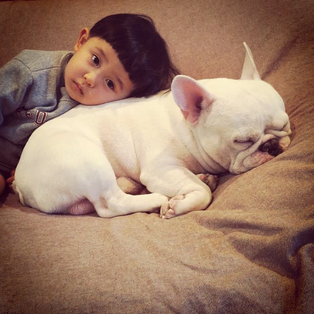 <p>A young Japanese boy named Tasuku spends quality time with his best friend, a French Bulldog named Muu. Tasuku's mother, Aya Sakai, documents the pair's relationship on Instagram and on Facebook.</p>