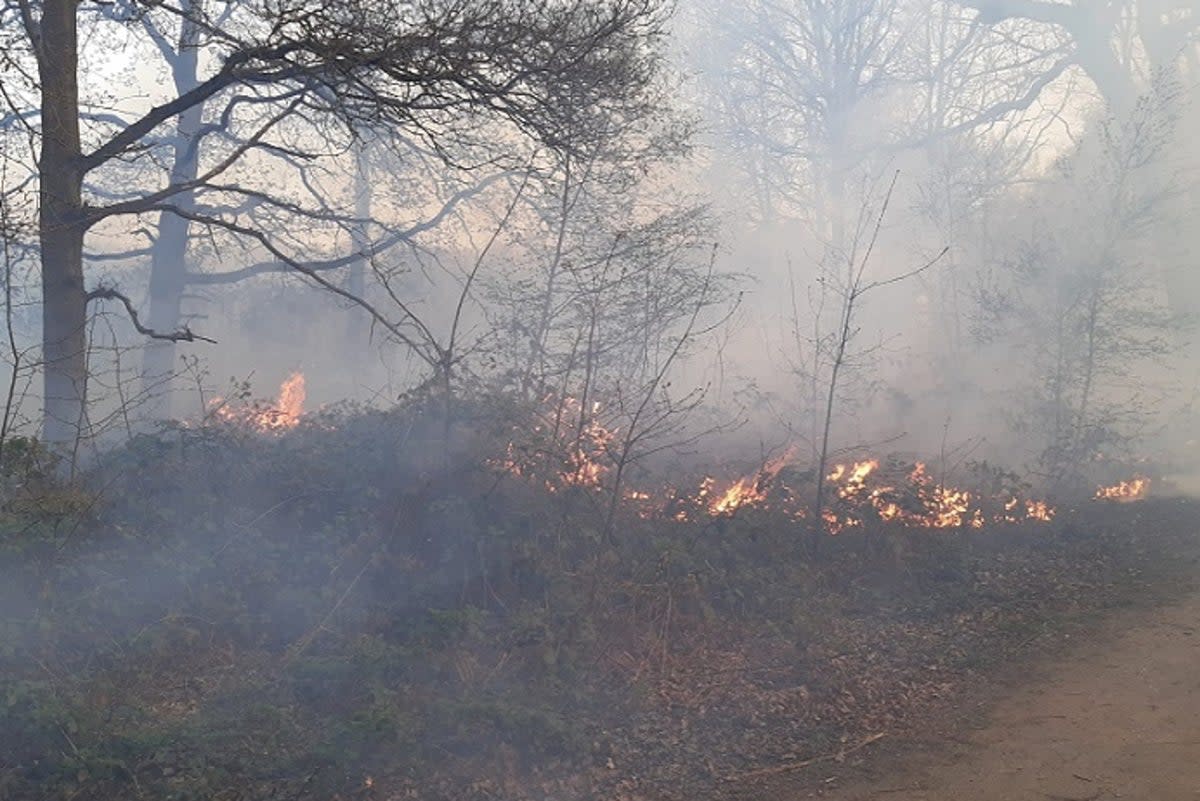 70 firefighters are at the scene of the blaze (London Fire Brigade)