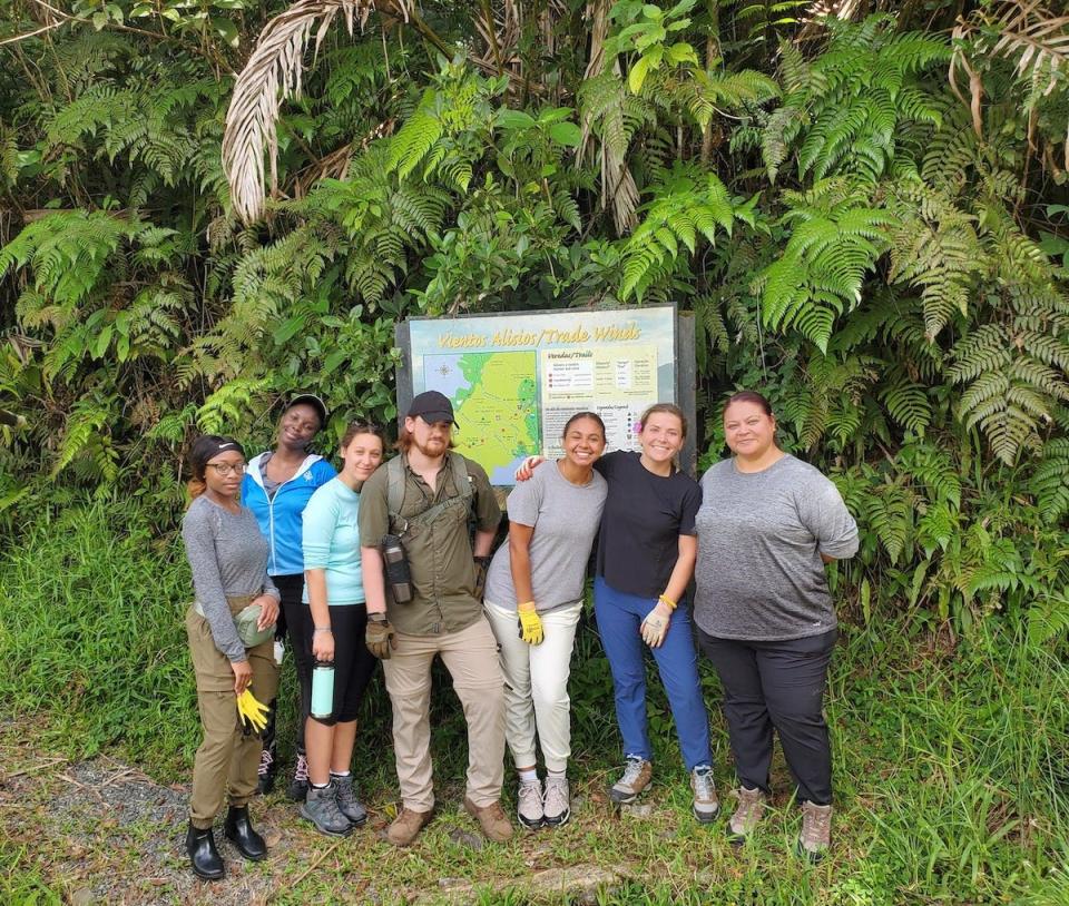 APSU volunteers work to sustain Puerto Rico's El Yunque National Forest.
