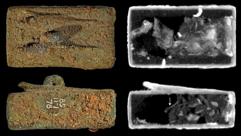 The researchers found intact lizard bones in three of the coffins.