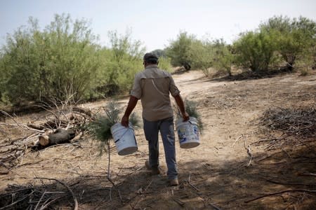 Mexican families dig for disappeared relatives