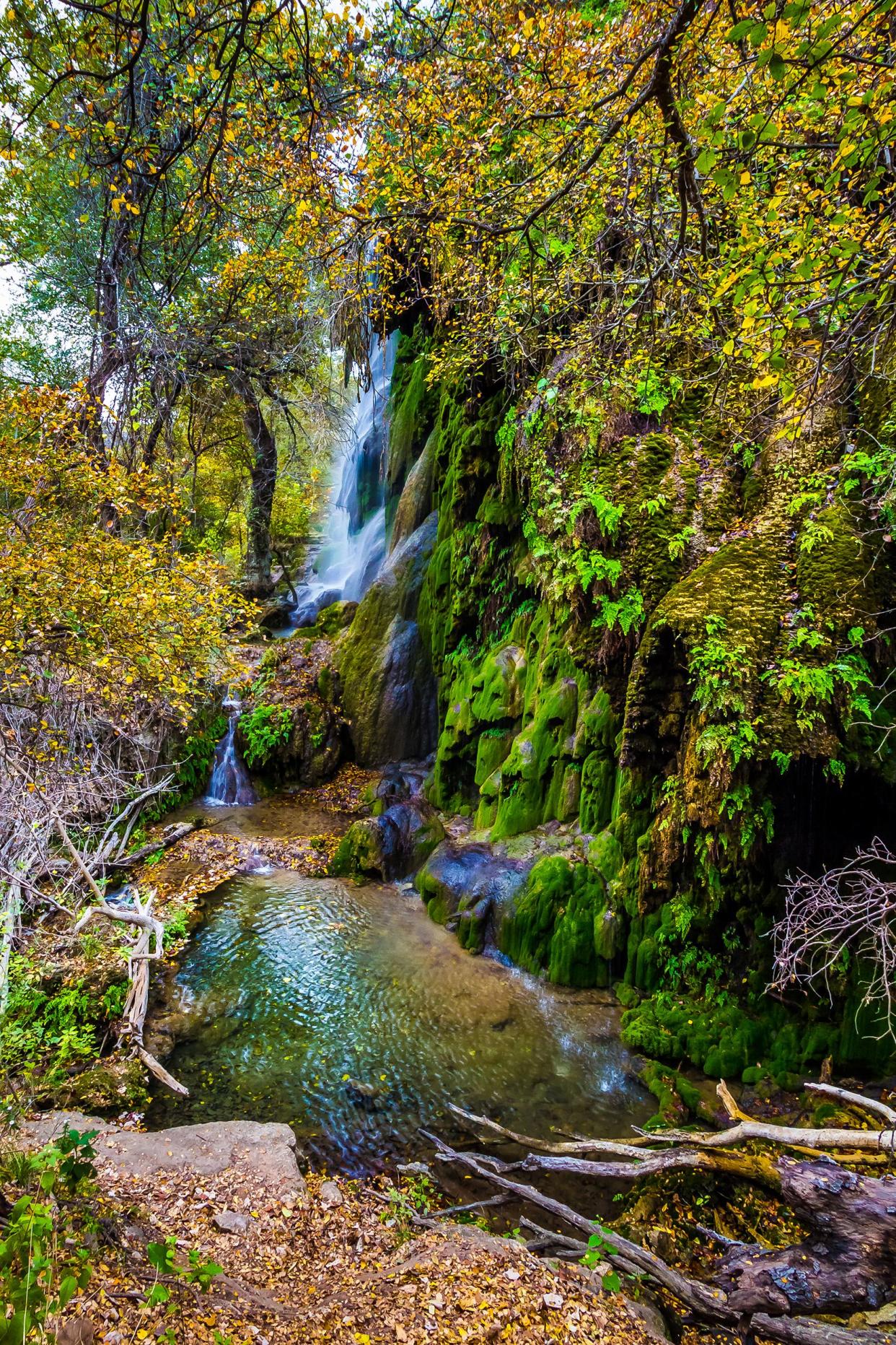 Gorman Falls, Texas