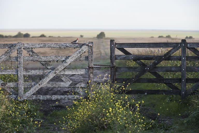 El mercado de campos está buscando recobrar su actividad luego de un 2020 complejo