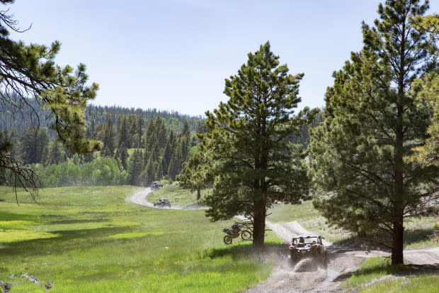 Delving deeper into Dixie National Forest, I encounter my favorite manner of trail—a long, sweeping incline that lets knobby tires snatch hold and propel us as fast as I dare.<p>Wilderness Collective/Aaron Dorff</p>