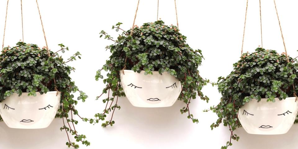 These Fun and Functional Hanging Planters Will Perk Up Your Pad