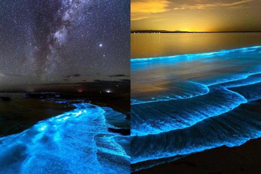 Captan hermosas olas bioluminiscentes en Baja California Sur 