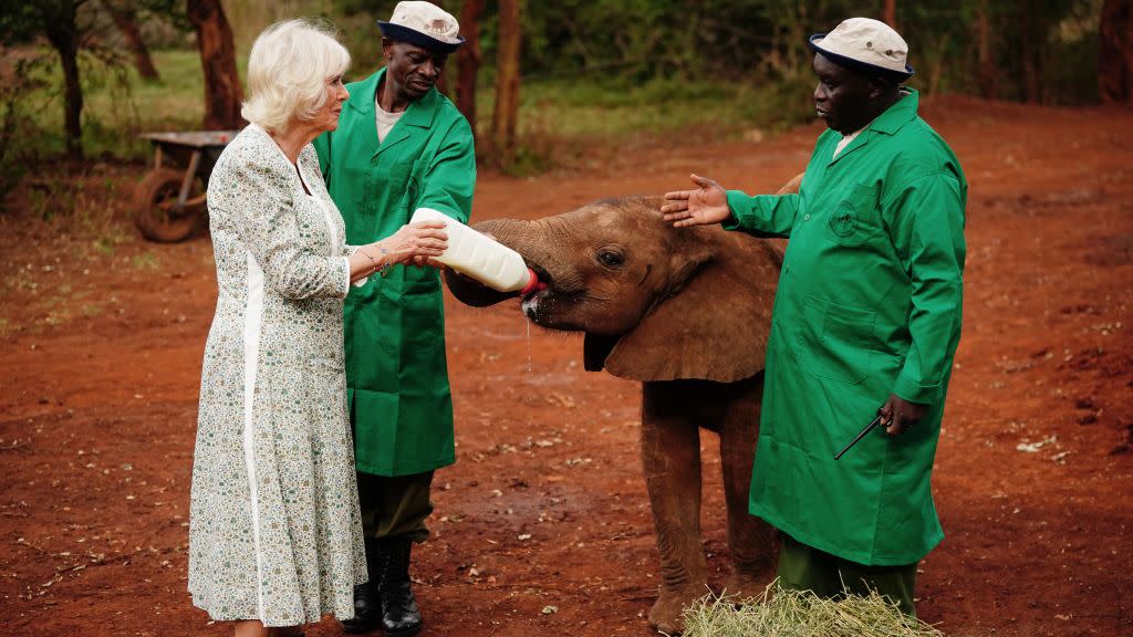 king charles iii and queen camilla visit kenya day 2