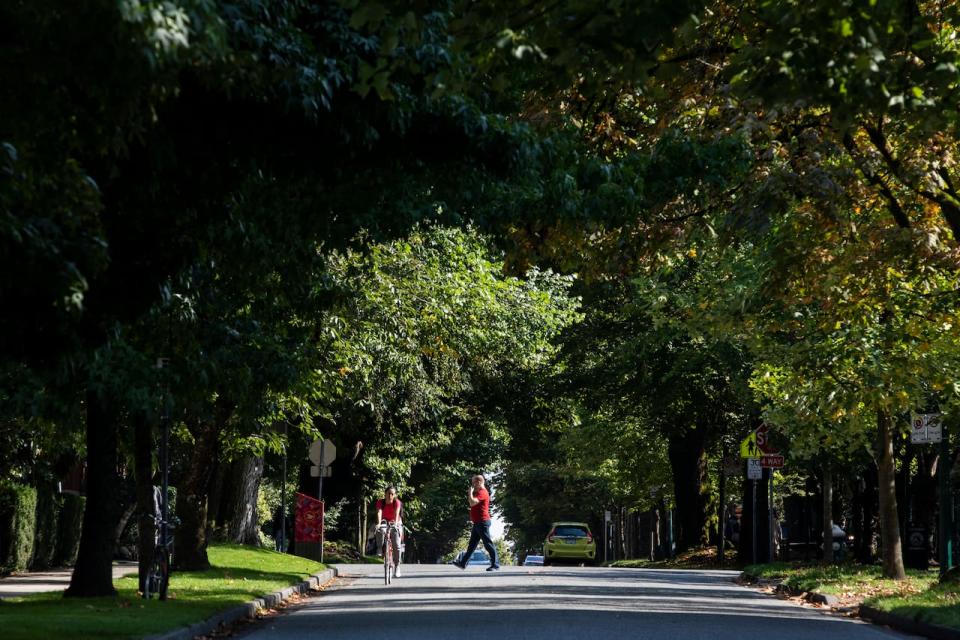 Metro Vancouver planners say Vancouver's West End is an example of a healthy tree canopy in a high density neighbourhood.