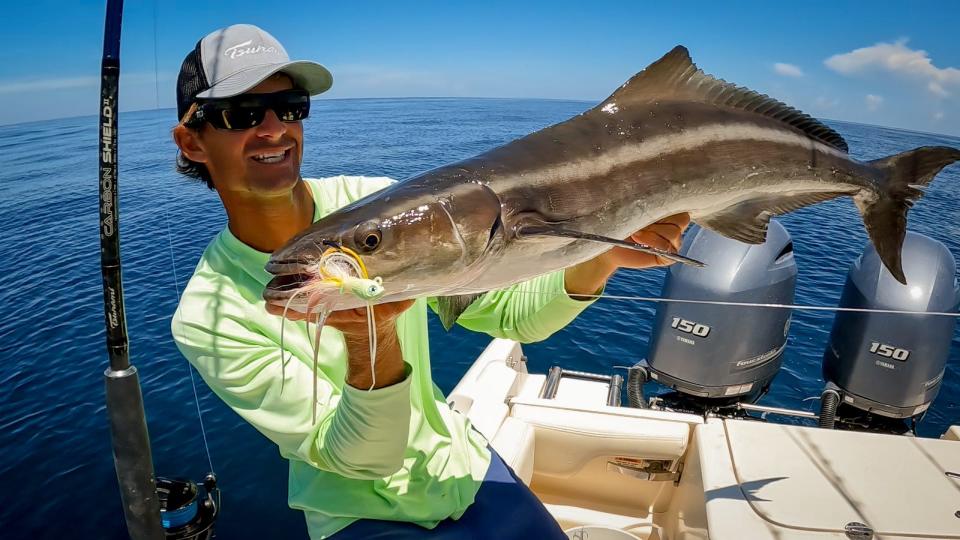 Joey Antonelli of Indiatlantic caught this sweet cobia on Aug. 26, 2022 using a Tsunami Evict reel and Tsunami Carbon II rod combination.