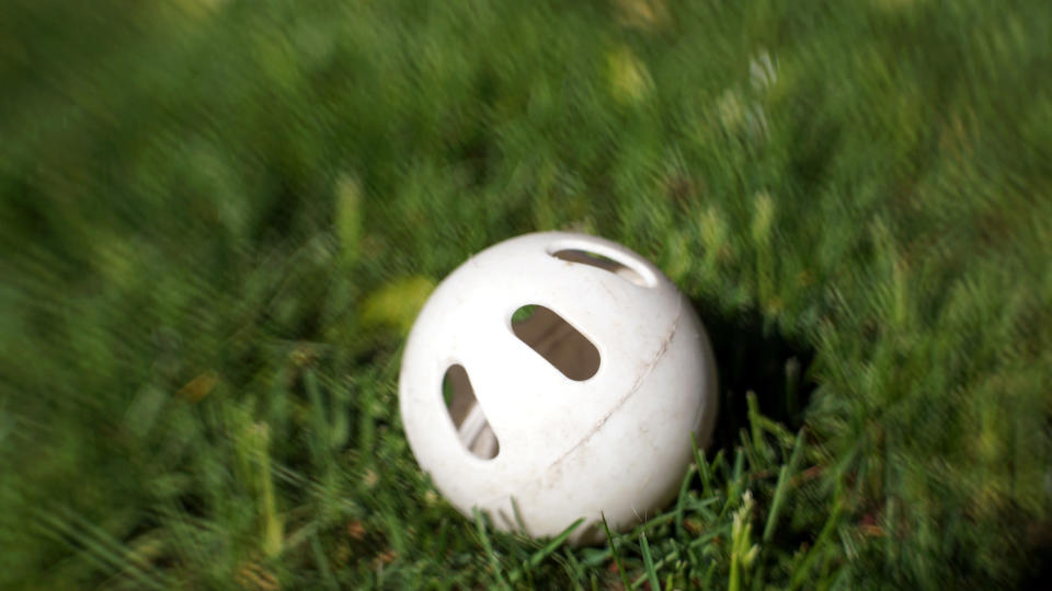 A wiffle ball in some grass