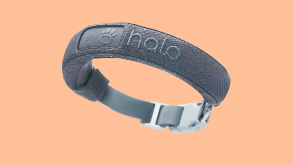 The Halo dog collar is a 2-in-1 protection and safety system.