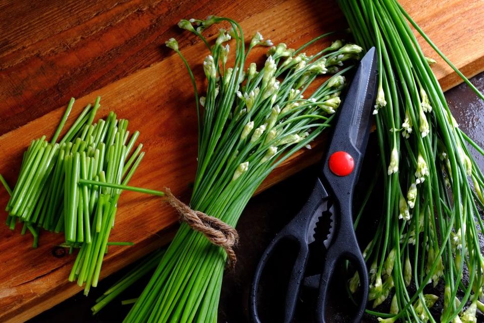 garlic chives