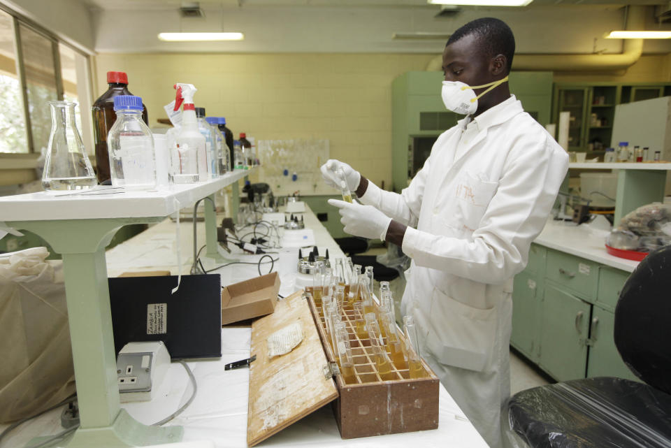 In this photo taken Tuesday, Oct. 2, 2012. A man work inside a Laboratory on cassava at the International Institutes For Tropical Agriculture in Ibadan, Nigeria. From this field nestled among the lush rolling hills of Nigeria’s southwest, the small plants rising out the hard red dirt appear fragile, easily crushed by weather or chance. Looks, however, are deceiving. These cassava plants will grow into a dense thicket of hard, bamboo-like shoots within a year, with roots so massive a single planted hectare can provide three tons of food. The plants survive fires, droughts and pestilence, while offering a vital food source for more than 500 million people living across sub-Saharan Africa. (AP Photo/Sunday Alamba)