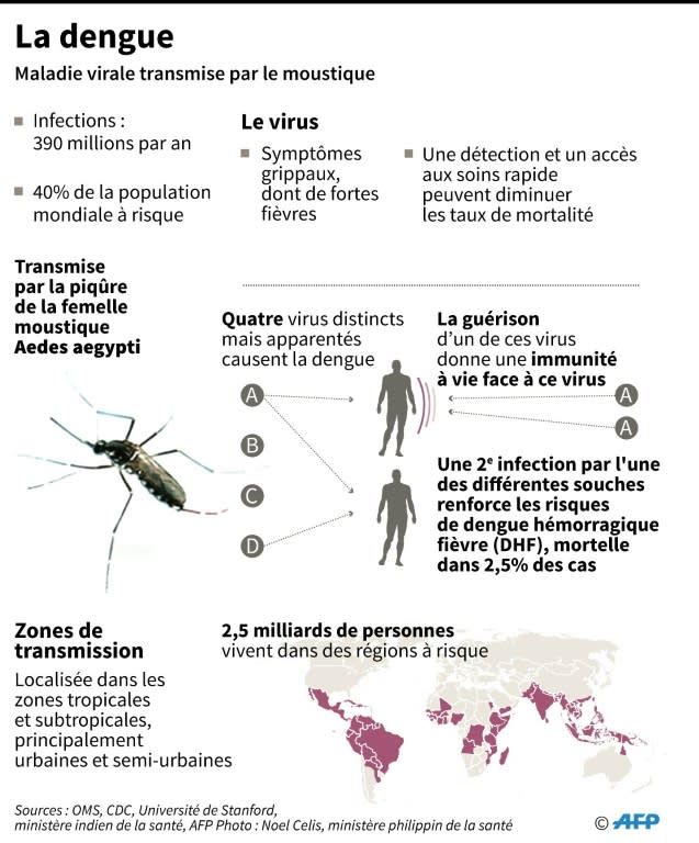 La dengue (AFP/Archives - Gal ROMA)