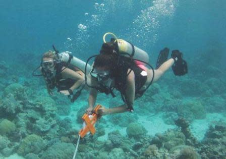 June 1, 2012. USC Environmental Studies Dive Team members collecting coral reef ecosystem data on Ngederrak Reef MPA in Palau.