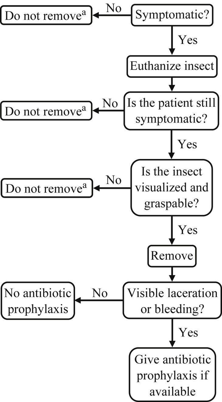 (Illustration: <em>Wilderness & Environmental Medicine</em>)