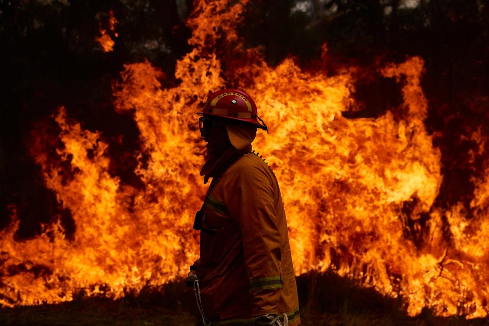 A CFA Member works on controlled back burns along Putty Road on November 14, 2019 in Sydney, Australia. Crews are working hard to gain the upper hand after devastating fires tore through areas near Colo Heights. Bushfires from the Gospers Mountain bushfire continue to burn.