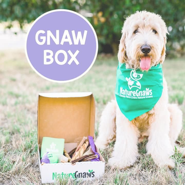 13) Gnaw Box