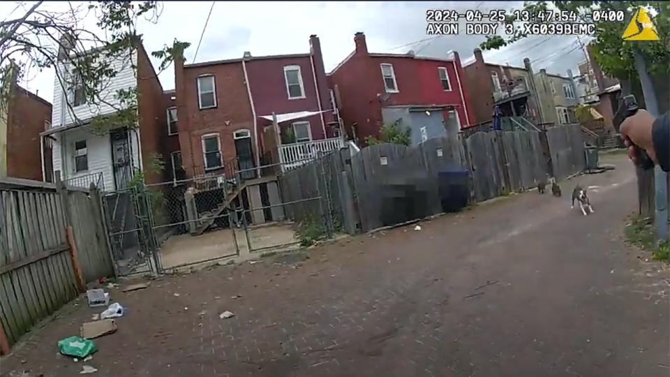 <div>DC police release body-worn camera video of officer shooting, killing 2 dogs in Petworth</div>