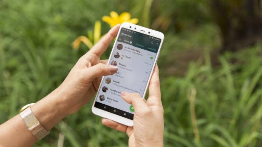 El consumo de videos en WhatsApp puede afectar tu plan de datos.