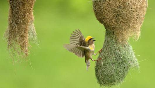 Prakash Methema/AFP/Getty Images