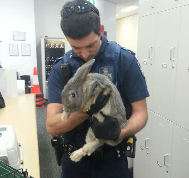 Senior Constable Ben Sier cuddling his 'fat furry friend'. Photo: Queensland Police