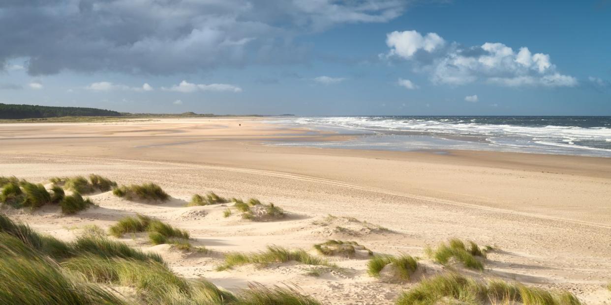 a bright and sunny afternoon amongst the sand dunes at the holkham national nature reserve, voted best beach in the uk