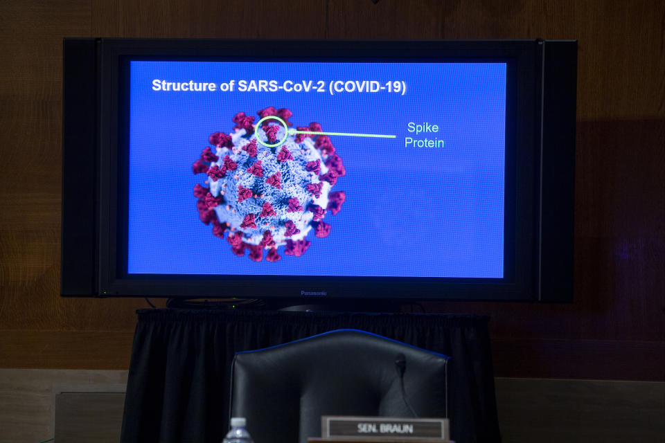 A monitor depicts the structure of SARS-CoV-2 during a Senate Health, Education, Labor and Pensions Committee hearing to discuss vaccines and protecting public health during the coronavirus pandemic on Capitol Hill, Wednesday, Sept. 9, 2020, in Washington. (Michael Reynolds/Pool via AP)