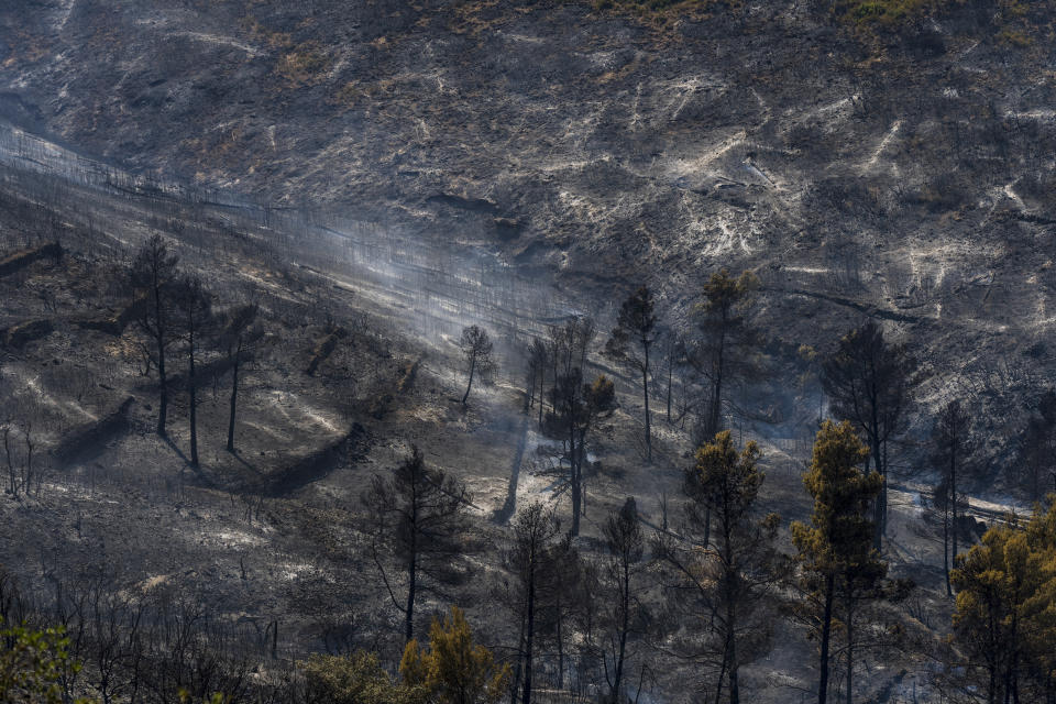 A charred forest during a wildfire near Altura, eastern Spain, on Friday, Aug. 19, 2022. Up to early August, 43 large wildfires — those affecting at least 500 hectares (1,235 acres) — were recorded in the Mediterranean country by the Ministry for Ecological transition, while the average in previous years was 11. The European Forest Fire Information System estimates a burned surface of 284,764 hectares (704,000 acres) in Spain this year. That's four times higher than the average since records began in 2006. (AP Photo/Alberto Saiz)