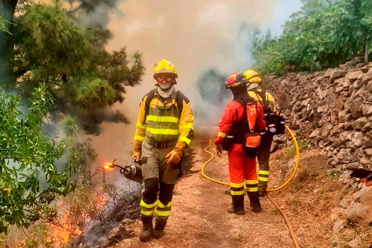 In this photo taken by UME (military emergency unit), firefighters work to extinguish a forest fire in the Puntagorda area on the Canary island of La Palma, Spain, Monday July 17, 2023. (AP)