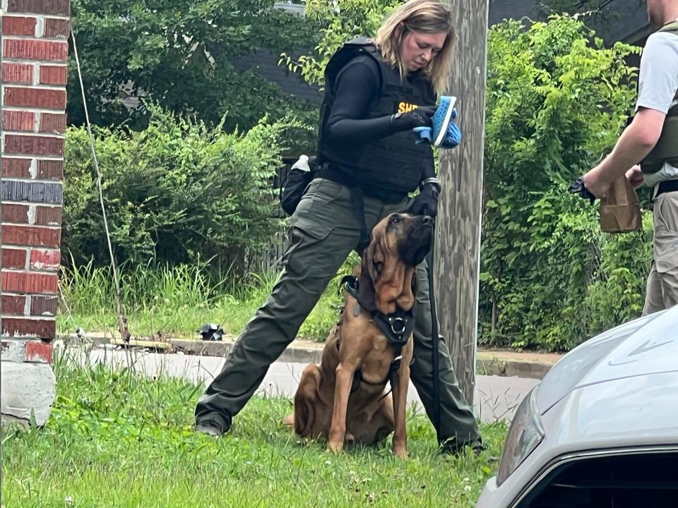 An officer from the Shelby County Sheriff's Department works with a dog during the search for missing 4-year-old Sequoia Samuels.