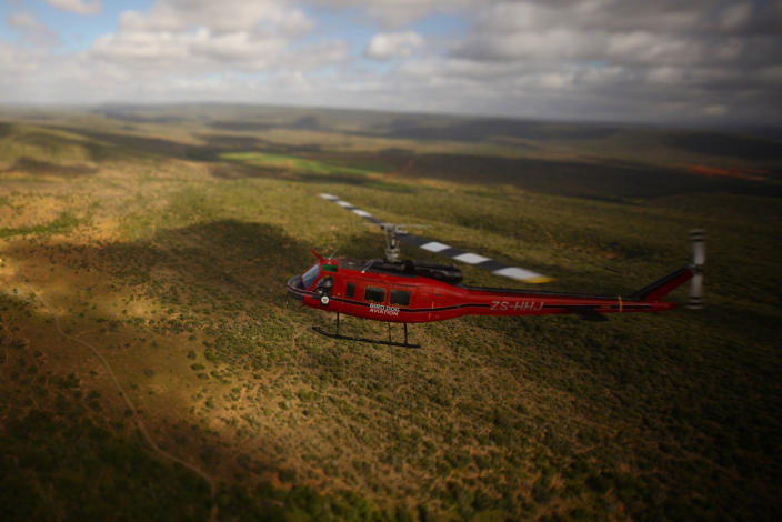 Black rhino being transported by helicopter to an awaiting land vehicle. The helicopter trip lasts less than 10 minutes and enables a darted rhino to be removed from difficult and dangerous terrain. The sleeping animals suffer no ill effect. Photo courtesy of Green Rennaisance/WWF