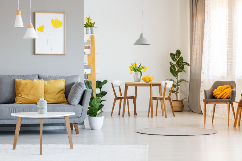 Open space living and dining room interior with gray sofa, wooden tables, white chairs and plants. Real photo